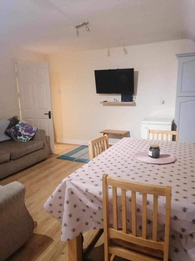 Appartamento Barrow Mews Views Carlow Esterno foto